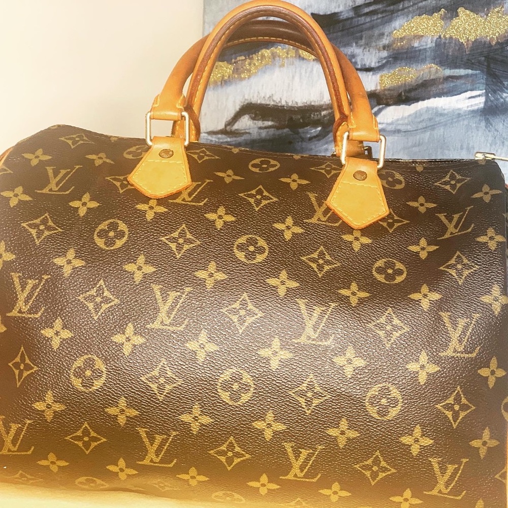 Louis Vuitton purse